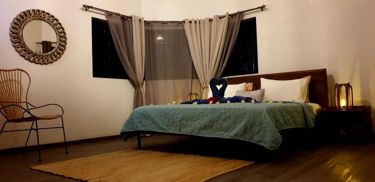 La Maison De La Plage Албион Екстериор снимка
